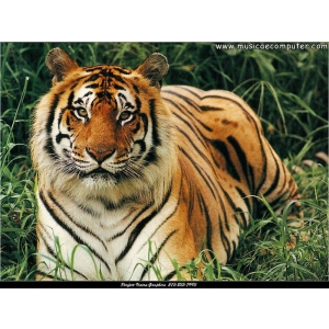 hunter_1