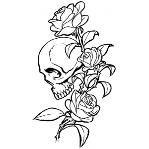 redsonia