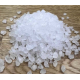 salt's Picture